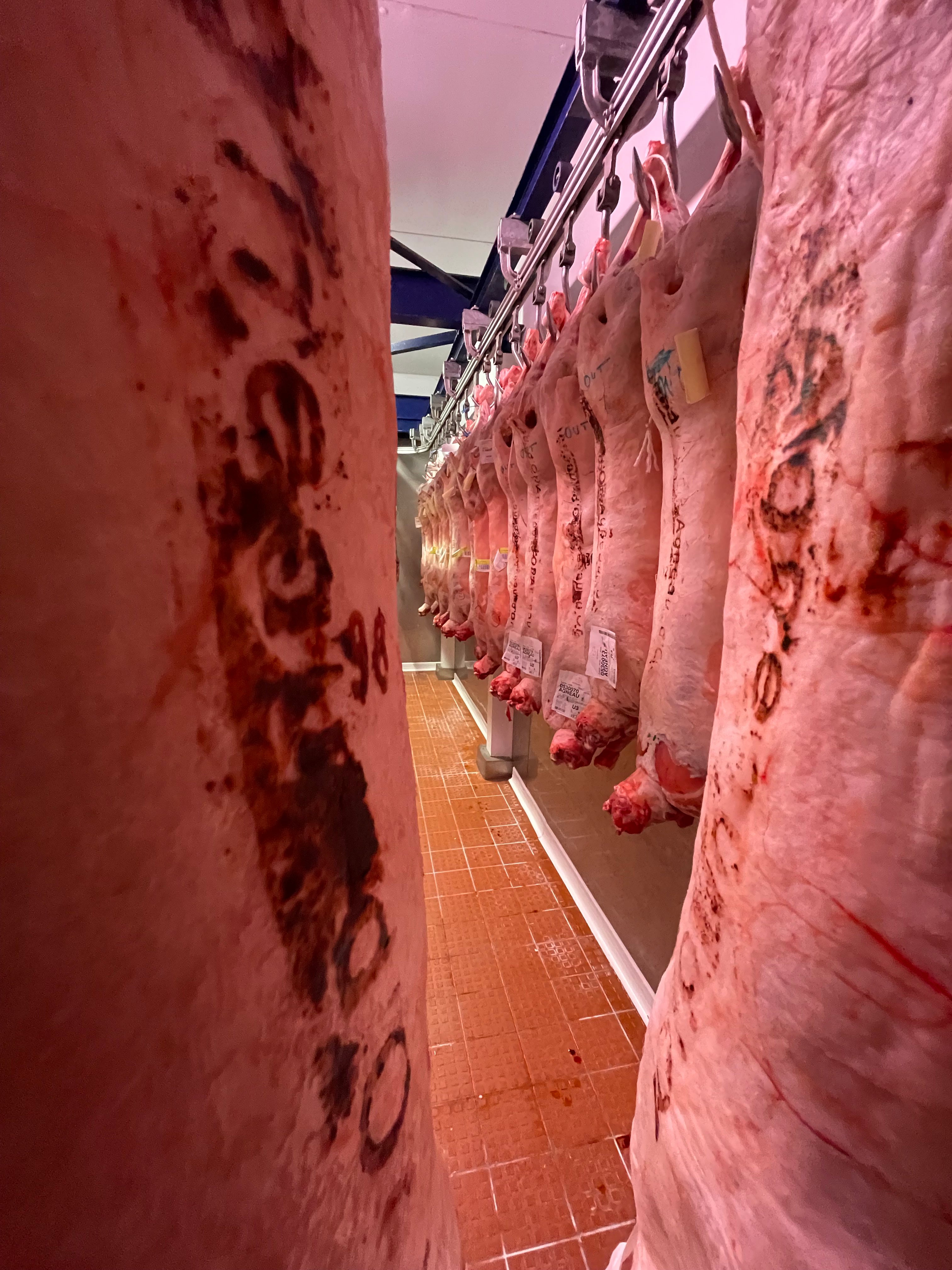 nos produits  agneau