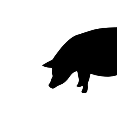 FOIE DE PORC - 4855