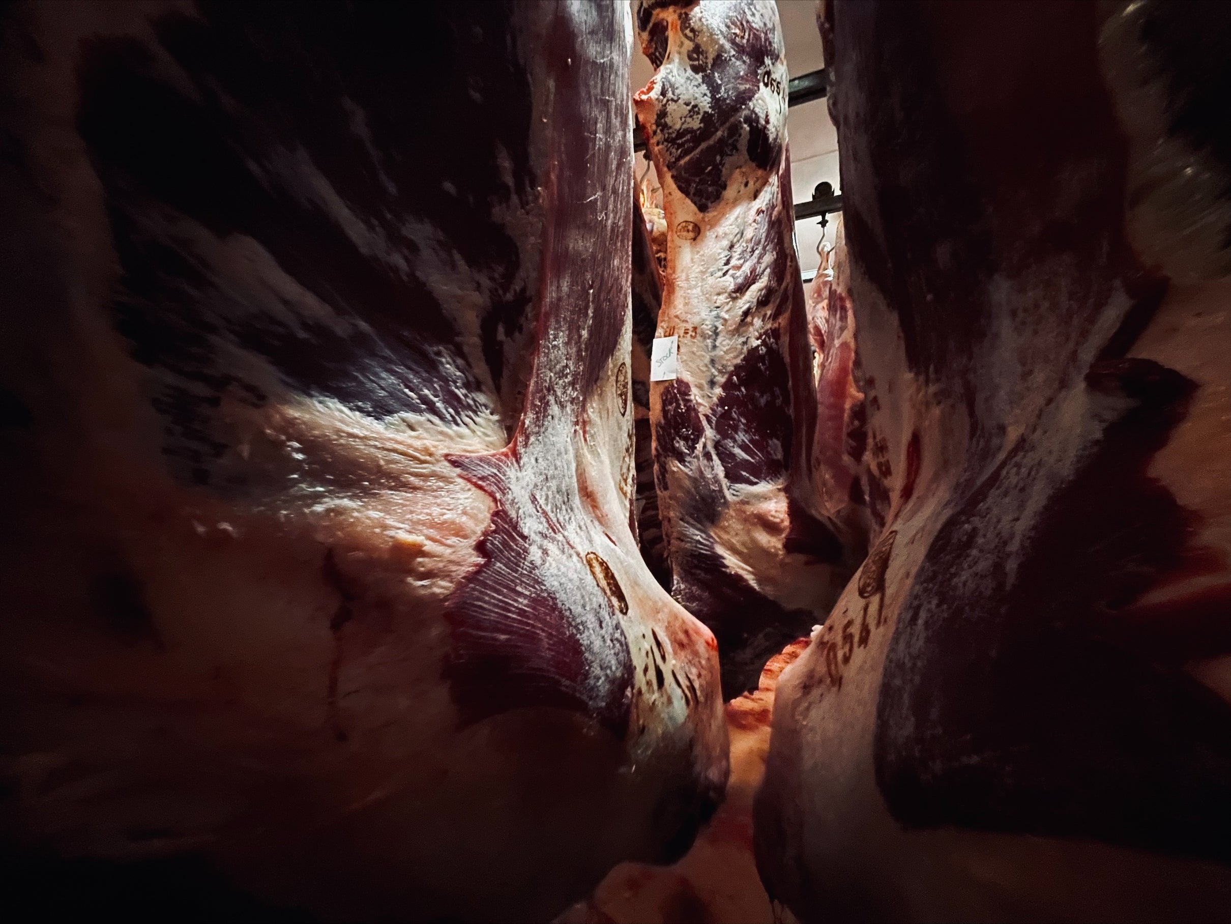 1 ère page la qualité