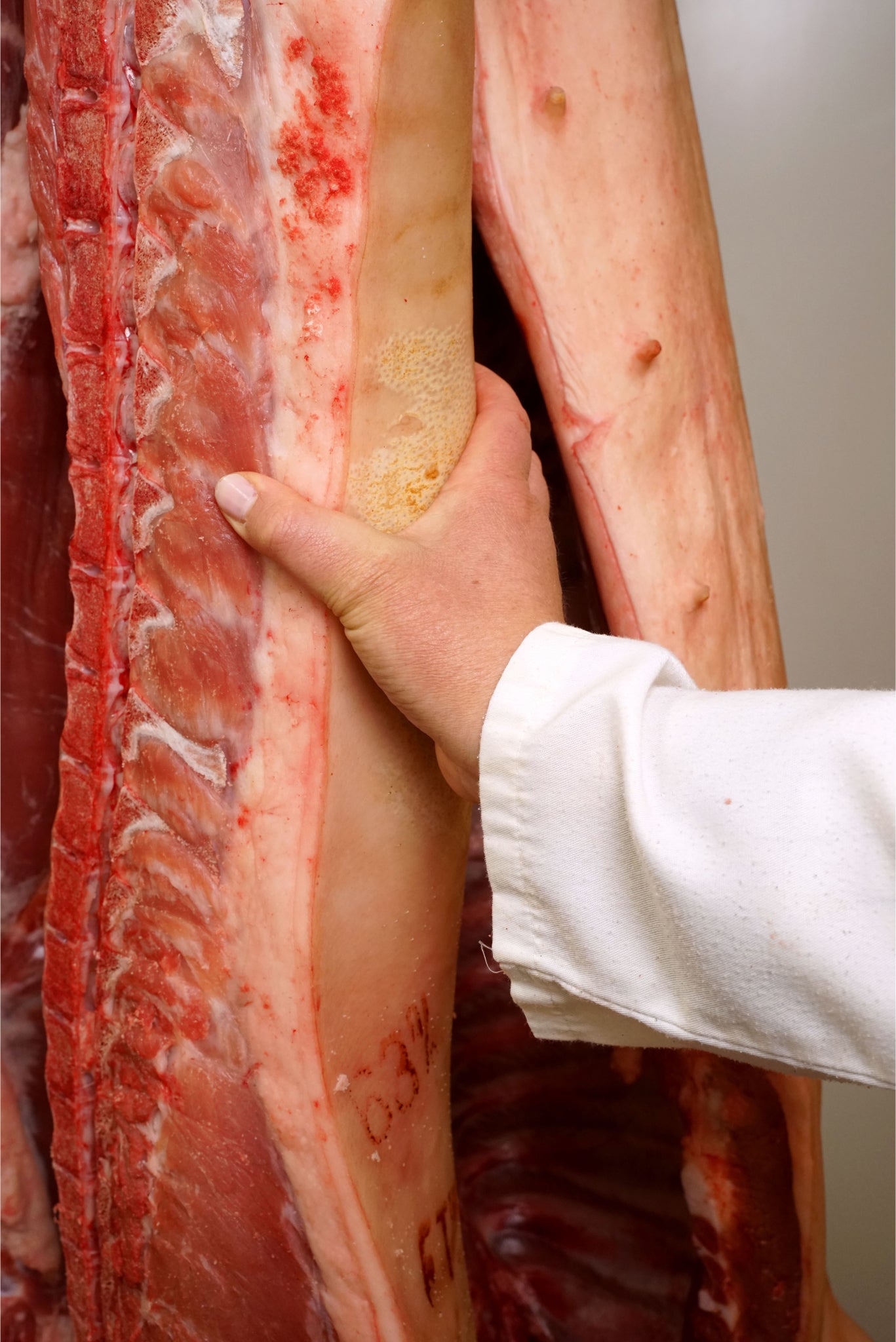 Mettre dans la qualité outrebon