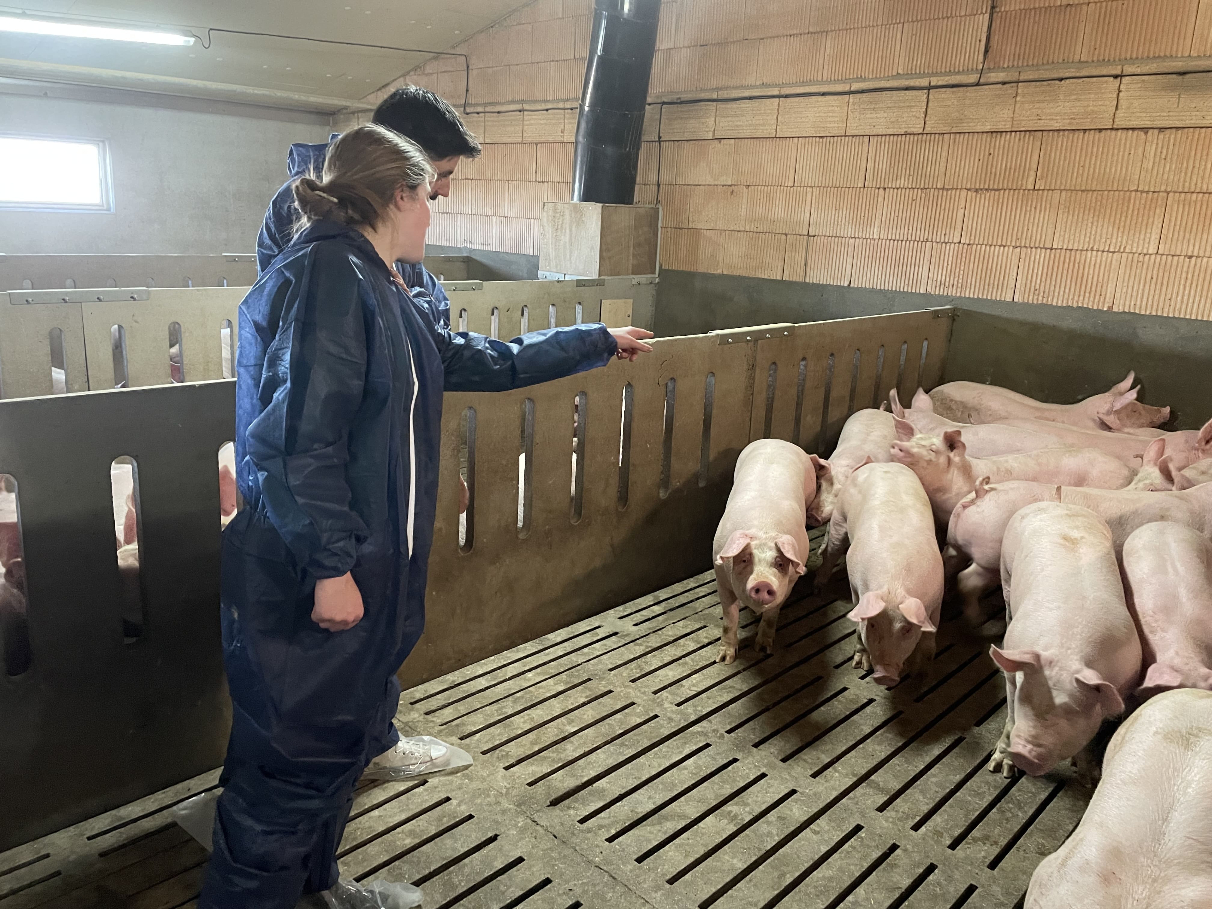 Sélection rigoureuse