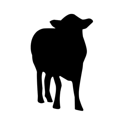 DEMI CARC VEAU - 2011