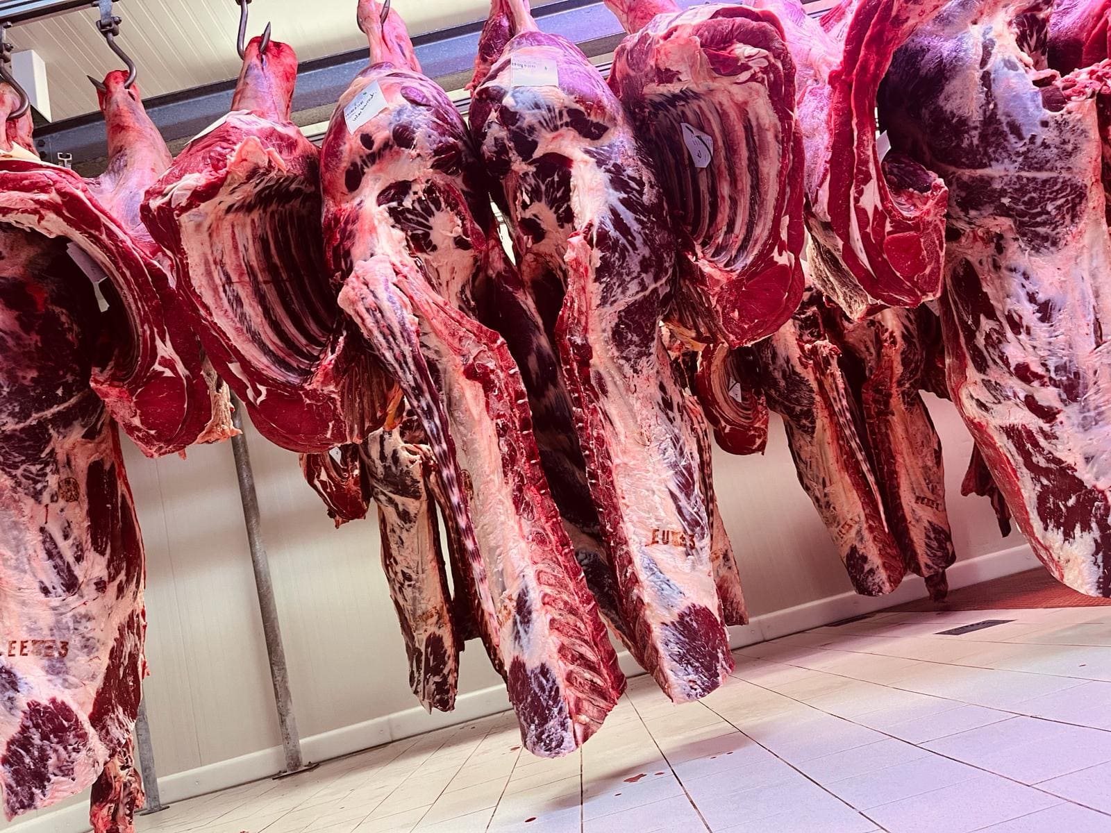 F7eb1af9 22c6 4591 9f7a 39e93a285514